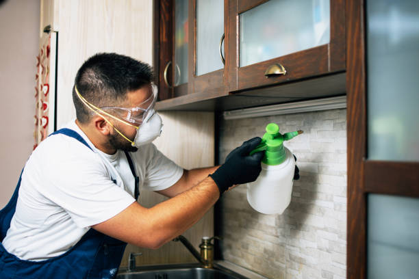 Professional Pest Control in Tokeneke, CT