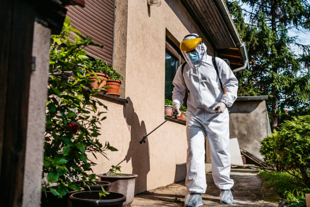 Best Termite Control Services  in Tokeneke, CT