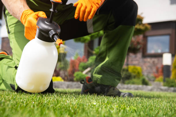 Best Best Pest Control Companies  in Tokeneke, CT