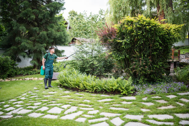 Best Wildlife Control Services  in Tokeneke, CT