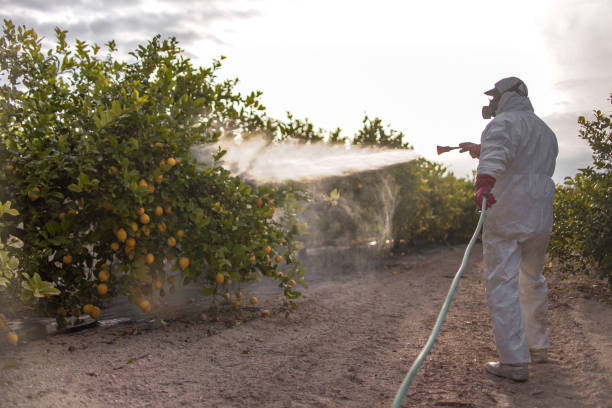 Best Pest Control for Restaurants  in Tokeneke, CT