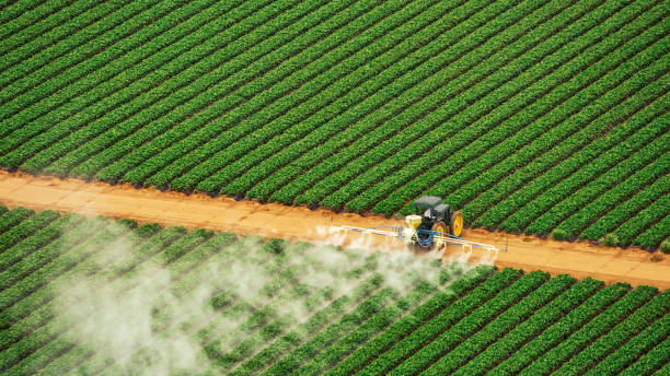 Best Pest Removal Services  in Tokeneke, CT