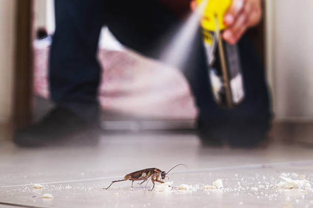 Best Rodent Control Near Me  in Tokeneke, CT
