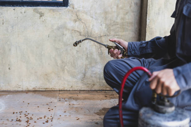 Best Affordable Pest Control Services  in Tokeneke, CT