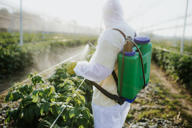 Best Mosquito Control Services  in Tokeneke, CT
